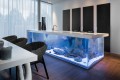 cuisine-oceane-aquarium-ilot.jpg